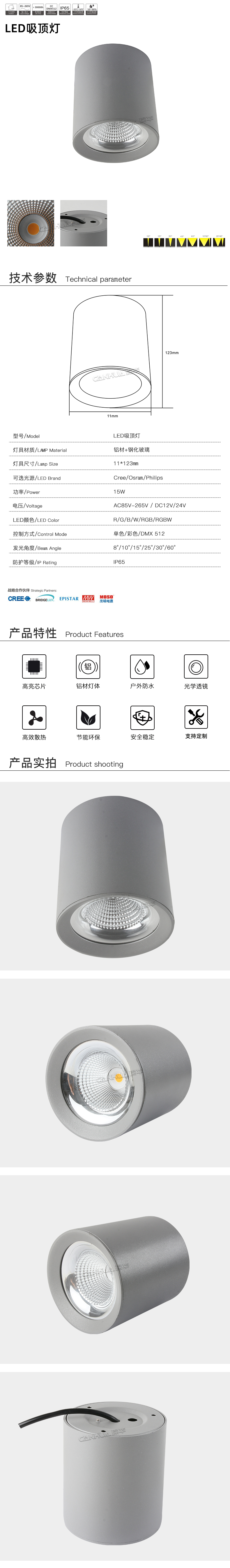 网站详情.jpg